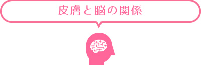 皮膚と脳の関係